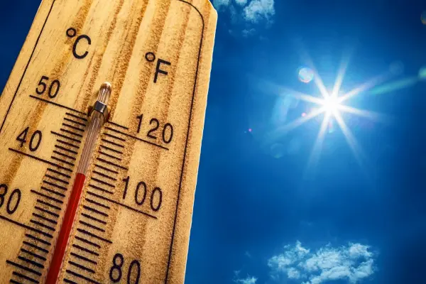 Image for article titled Staying safe in hot weather